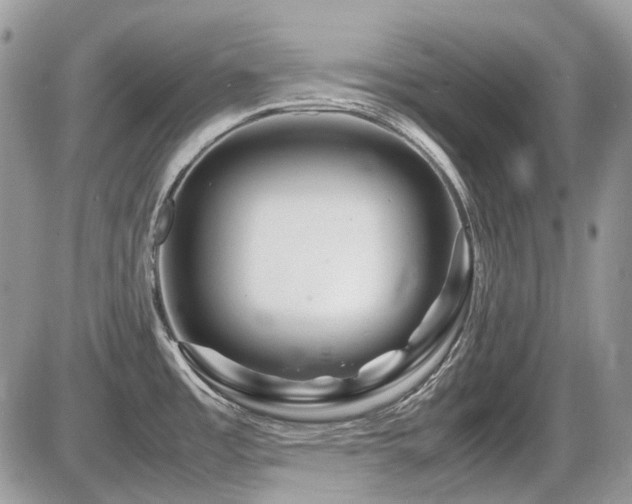 X0000086091485200703231417