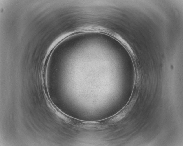 X0000086091486200703231417