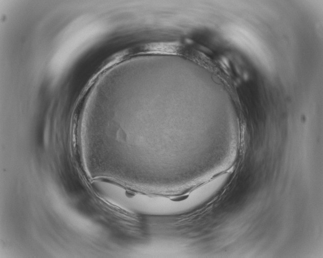 X0000086091487200703231417
