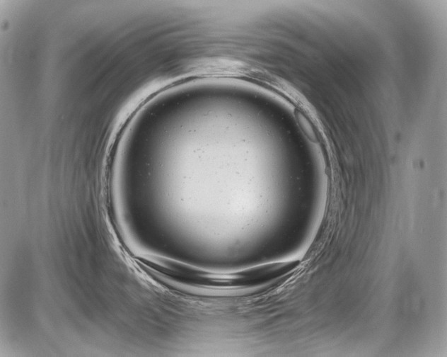 X0000086091488200703231417