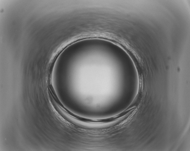 X0000086091500200703231417