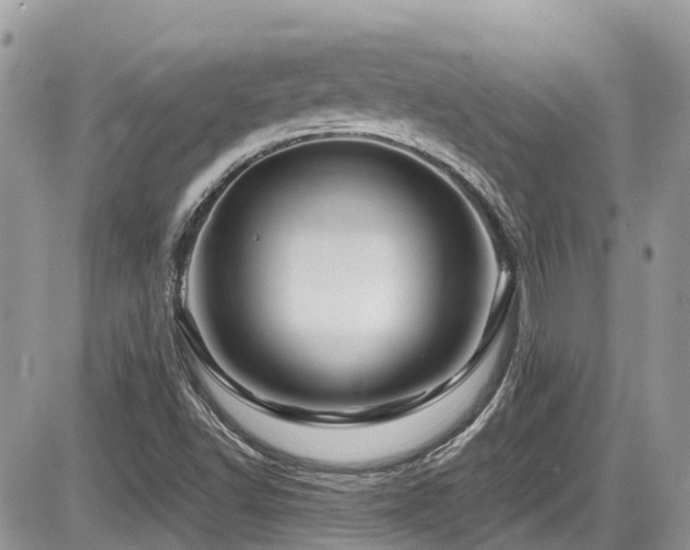 X0000086091502200703231417
