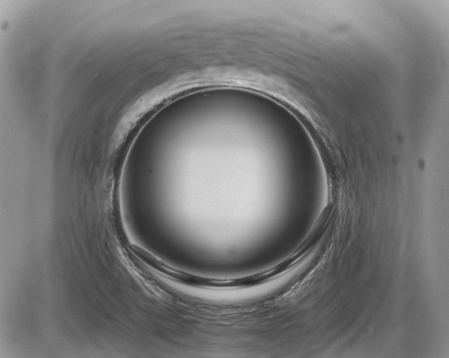 X0000086091507200703231417