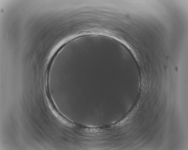 X0000086091515200703231417