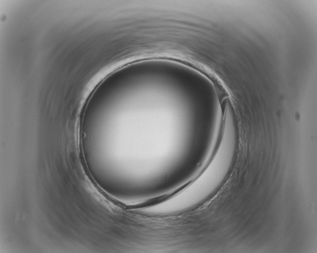 X0000086091516200703231417