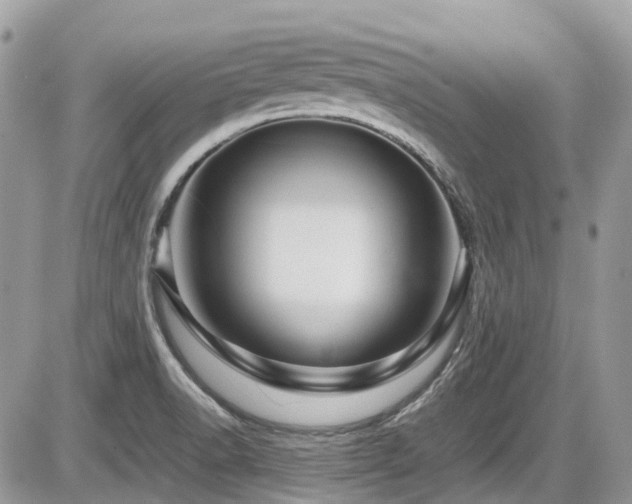 X0000086091518200703231417