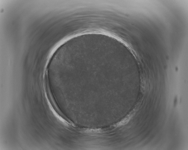 X0000086091519200703231417