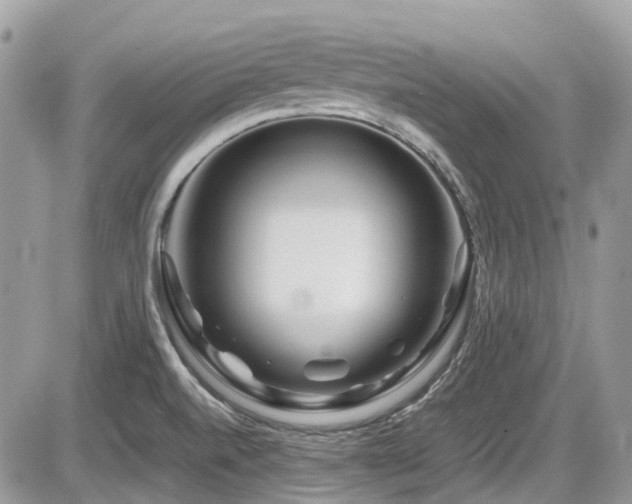 X0000086091520200703231417
