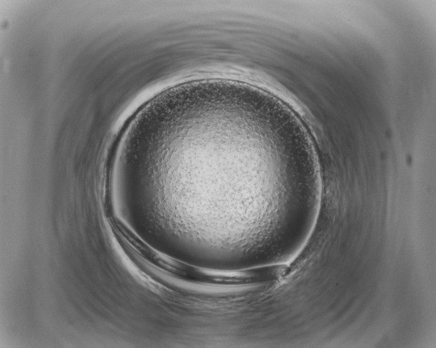 X0000086091523200703231417