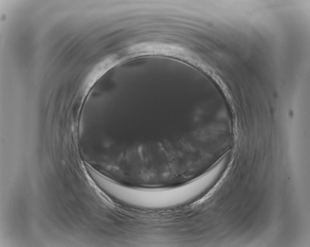 X0000086091529200703231417