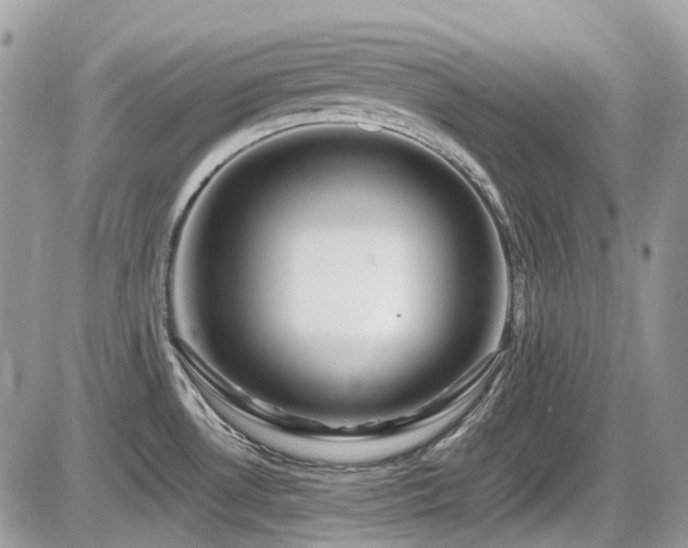 X0000086091530200703231417