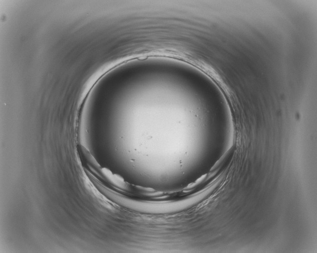 X0000086091532200703231417