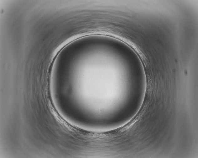 X0000086091534200703231417