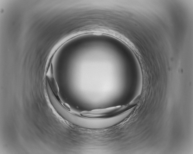 X0000086091536200703231417