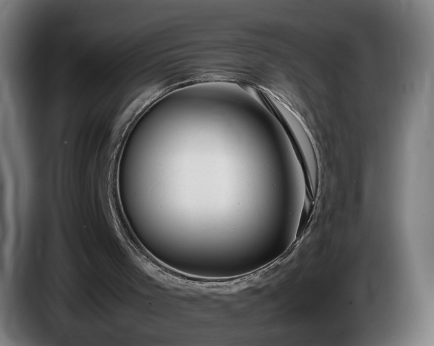 X0000086090001200703301202