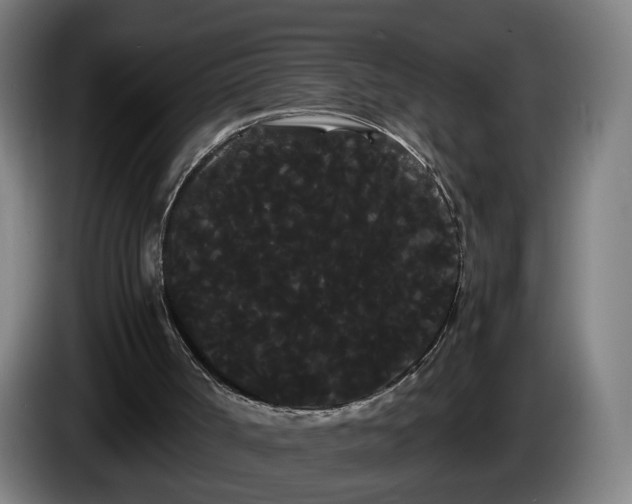 X0000086090002200703301202