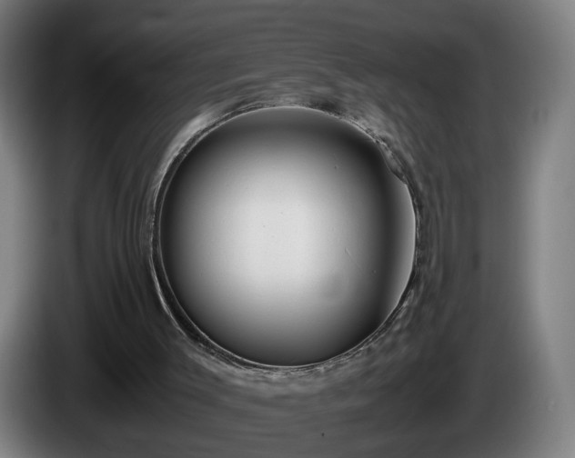 X0000086090003200703301202