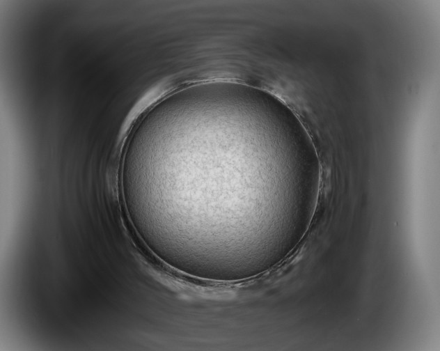 X0000086090004200703301202