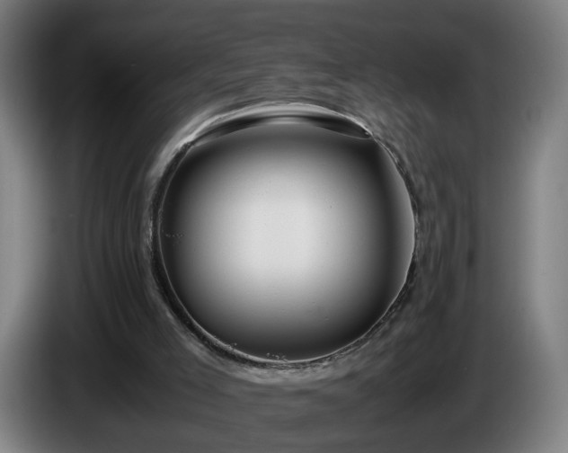 X0000086090005200703301202