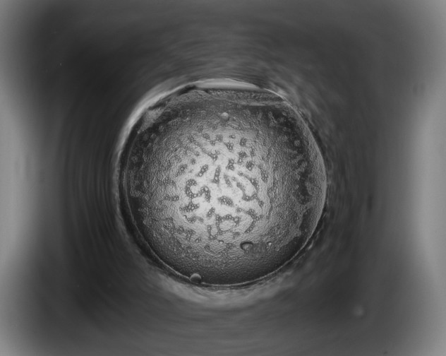 X0000086090006200703301202