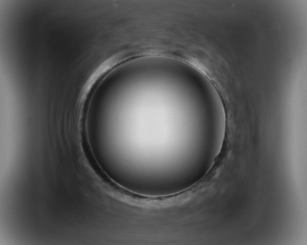 X0000086090007200703301202