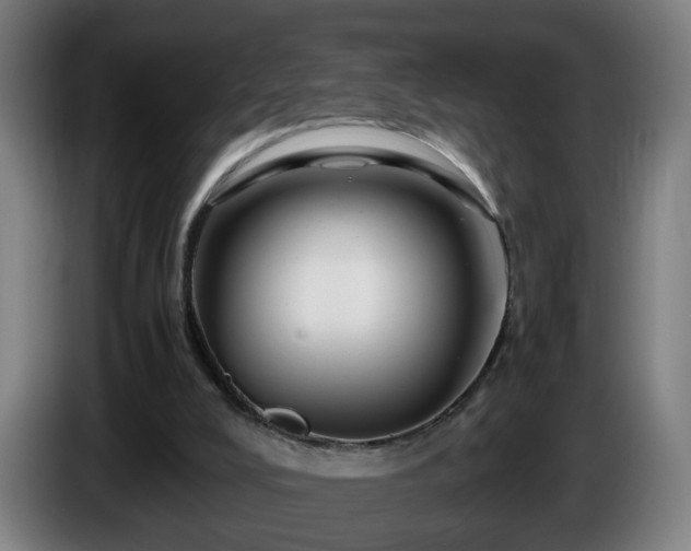 X0000086090008200703301202