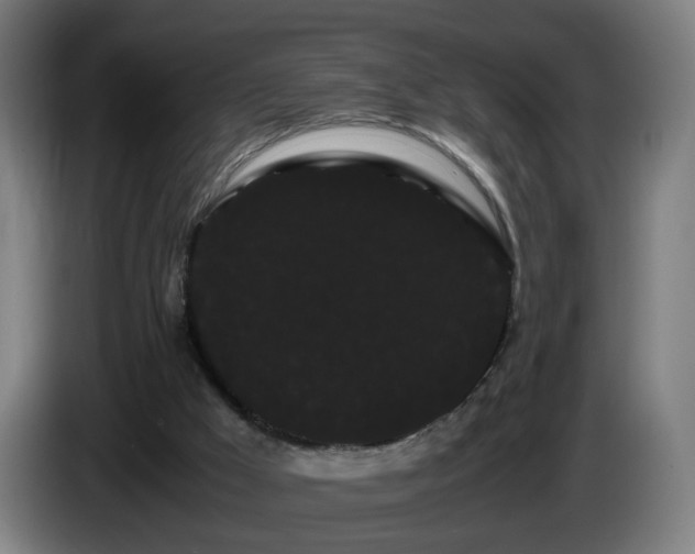 X0000086090009200703301202