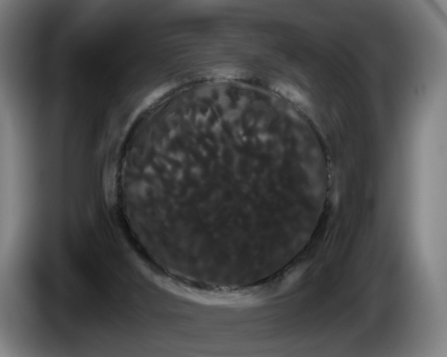 X0000086090012200703301202