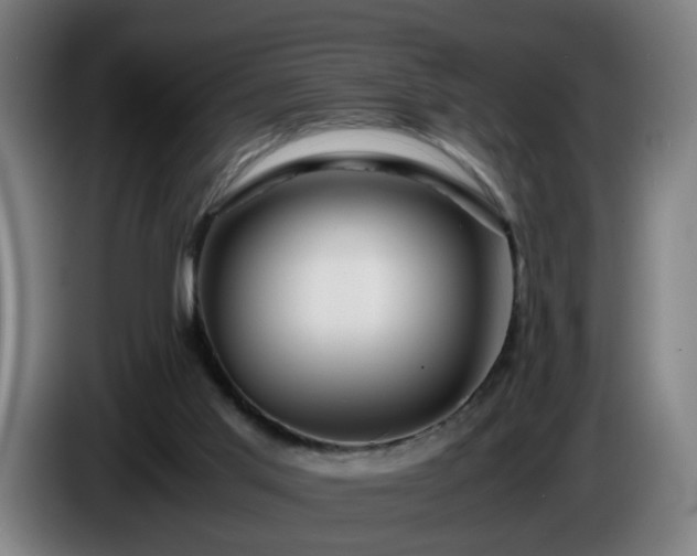 X0000086090013200703301202