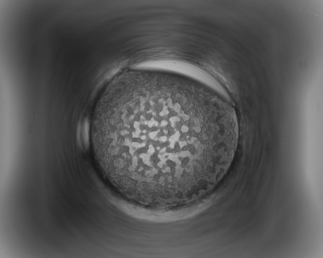 X0000086090014200703301202