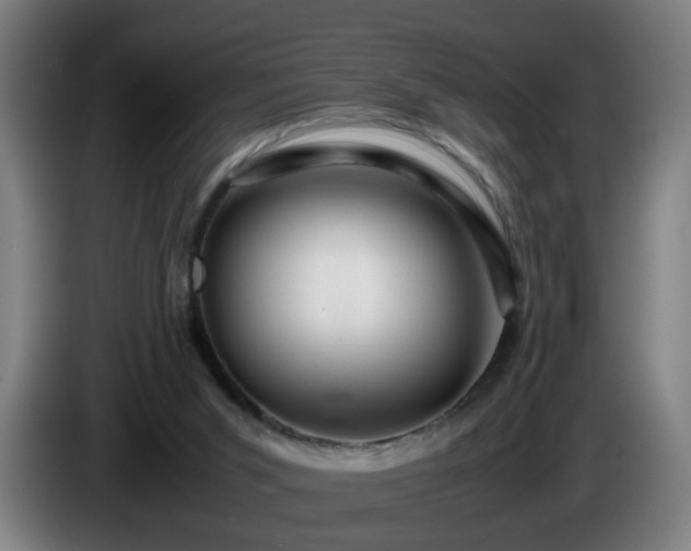 X0000086090015200703301202