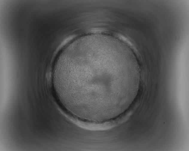 X0000086090016200703301202