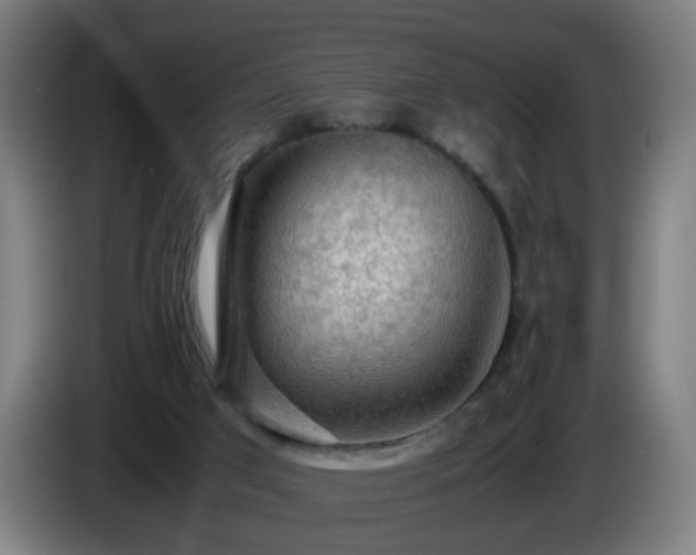 X0000086090017200703301202