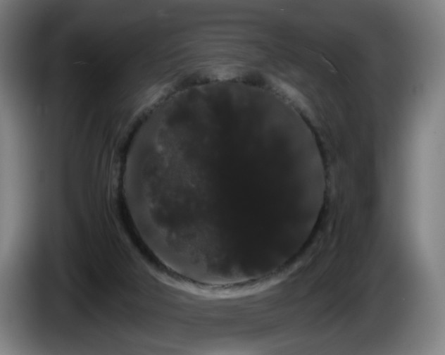 X0000086090018200703301201