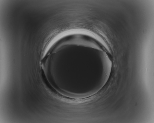 X0000086090019200703301201