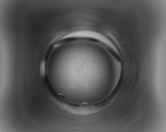 X0000086090020200703301201