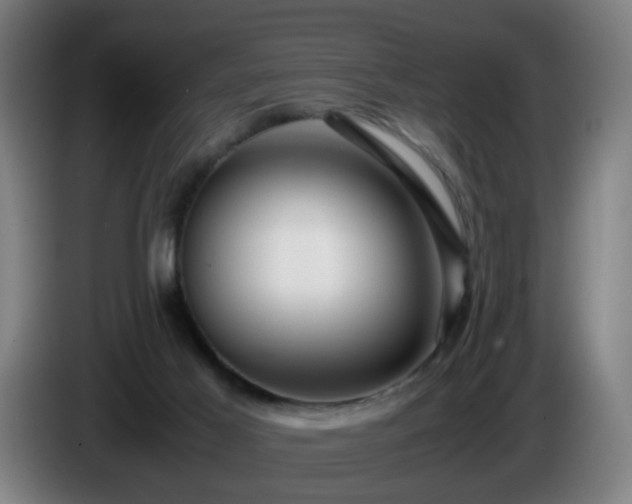 X0000086090021200703301201