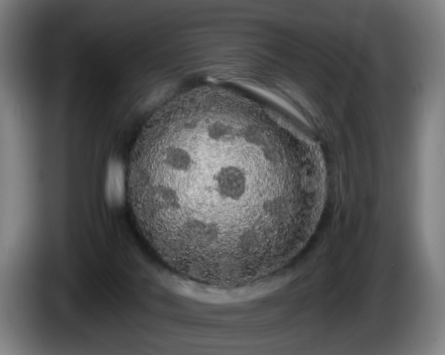 X0000086090022200703301201