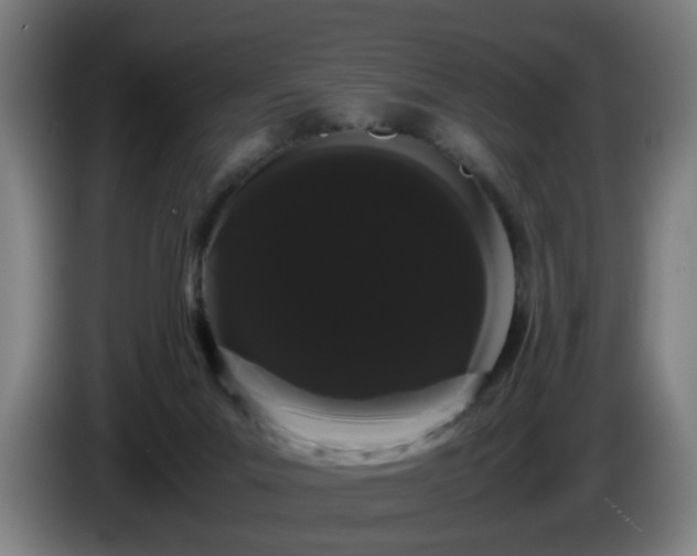 X0000086090023200703301201