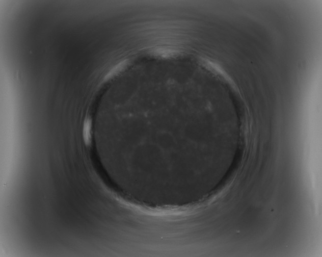 X0000086090024200703301201