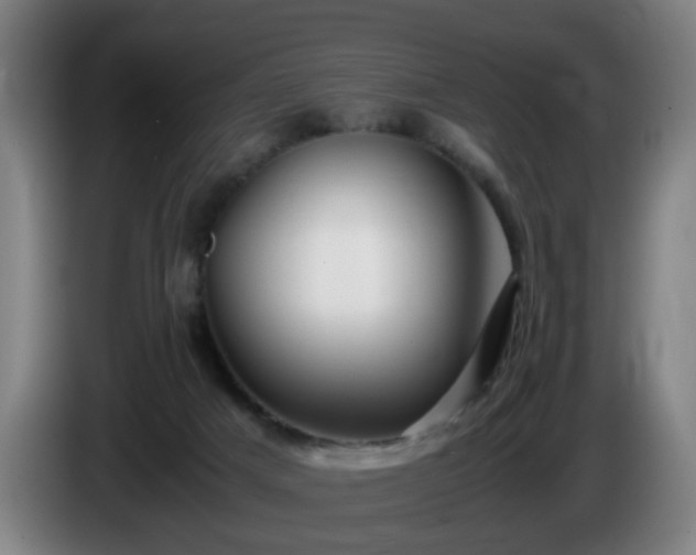 X0000086090025200703301201