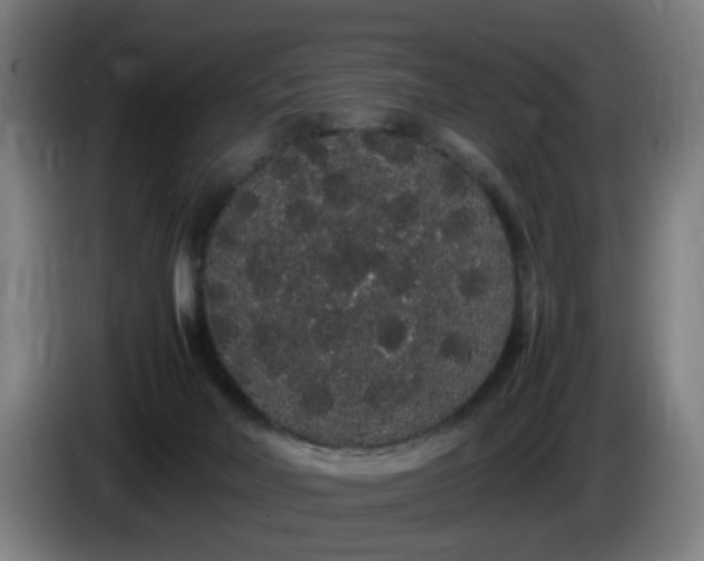 X0000086090026200703301201