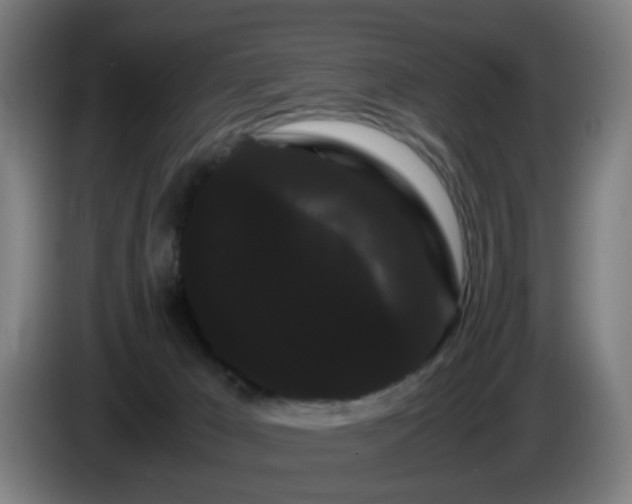 X0000086090029200703301201