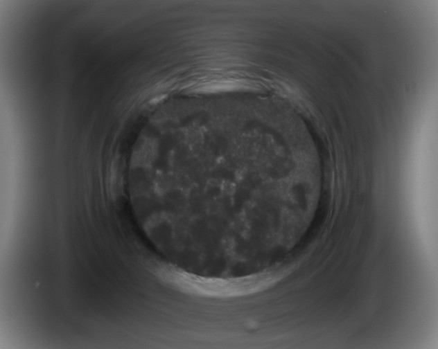 X0000086090030200703301201