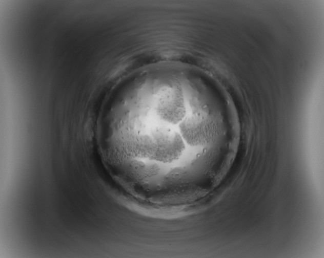 X0000086090032200703301201