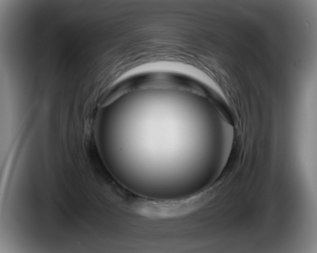 X0000086090033200703301201