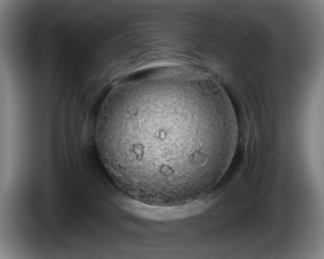 X0000086090034200703301201