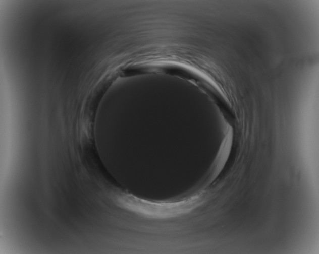 X0000086090035200703301201