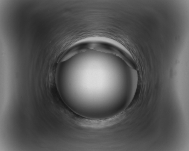 X0000086090037200703301201