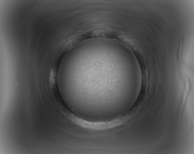 X0000086090038200703301201